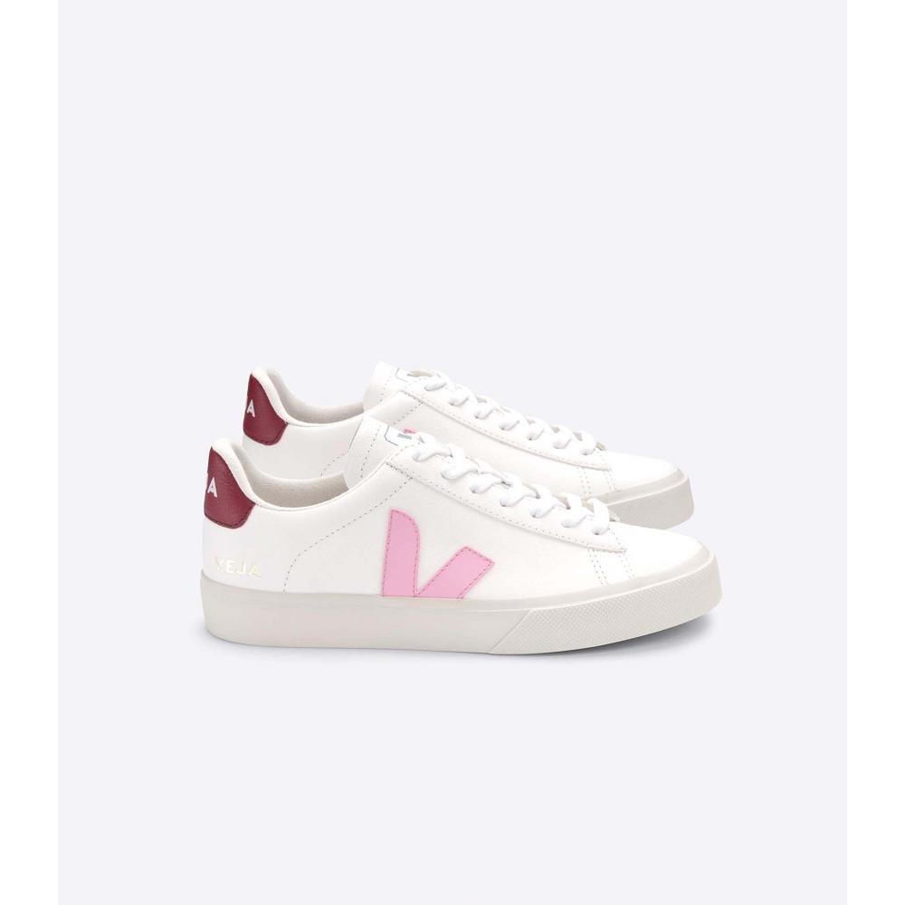 White/Pink Men\'s Veja CAMPO CHROMEFREE Low Tops Sneakers | AU 293YXF